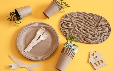 Raw Material Requirements for Setting Up a Rice Husk Based Biodegradable Disposable Cups and Plates Manufacturing Plant