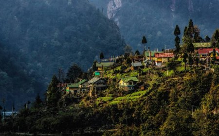 Sikkim and Darjeeling in One Trip: Your Ultimate Travel Plan