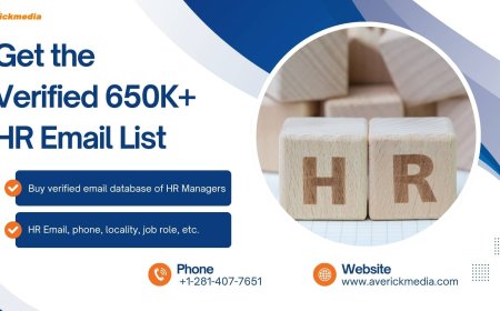 Driving 3X Lead Conversion: How a Curated HR Email List Boosted Campaign ROI