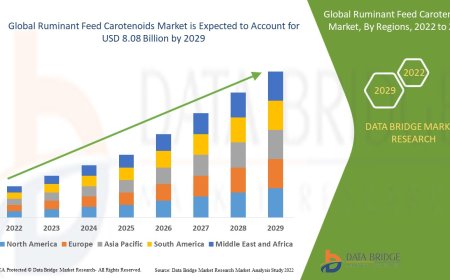 Ruminant Feed Carotenoids Market expected to reach the value of USD 8.08 billion by 2029