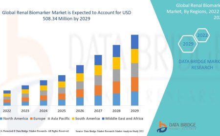 Renal Biomarker Market expected to reach the value of USD 508.34 million by the year 2029