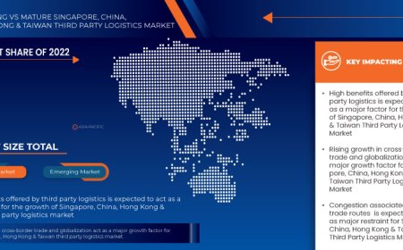 Singapore, China, Hong Kong and Taiwan Third Party Logistics Market Size, Share, Trends, Growth Opportunities and Competitive Outlook