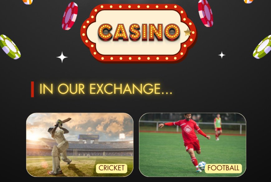 Easy 11xplay Login Guide – Simplified Access with Style