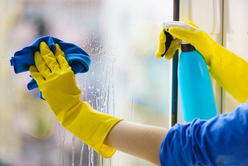 Window Cleaning Services 75034, TX
