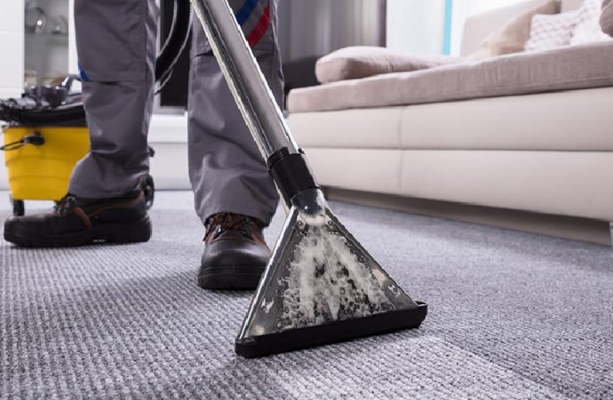 Carpet Cleaning Services Near Me