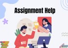 Ultimate Guide to Assignment Help: How Locus Assignments is Transforming Academic Support
