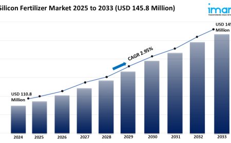 Silicon Fertilizer Market Trends, Growth & Forecast 2025-2033