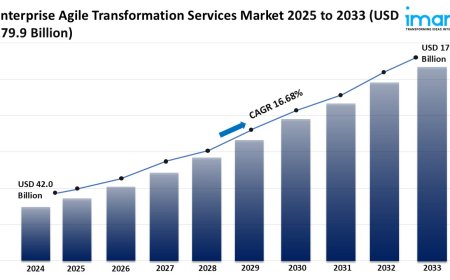 Enterprise Agile Transformation Services Market Trends, Growth & Forecast 2025-2033
