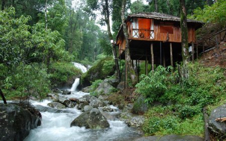 Discover Nature’s Paradise with Coorg Tour Packages