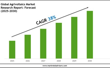 Agrivoltaics Market Report 2025–2030: Size, Share & Forecast