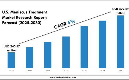 U.S. Meniscus Treatment Market Size, Trends & Forecast 2030