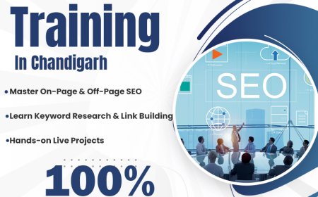 Master Digital SEO Skills | Learn On-Page, Off-Page