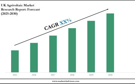 2025–2030 UK Agrivoltaic Market Snapshot: Growth, Value & Forecast