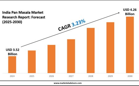 India Pan Masala Market Forecast: Size, Share & Trends (2025–2030)
