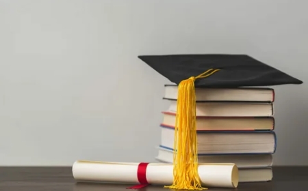 When To Seek Experts Help On Assignments: Discover Best Tips