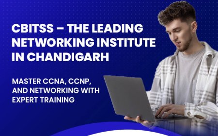 From Basics to Expert: Where to Learn Networking