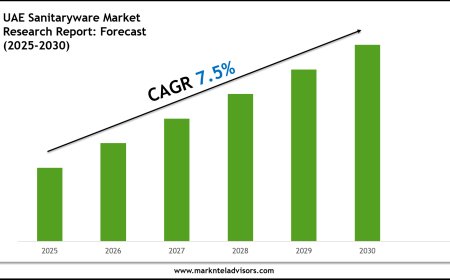 UAE Sanitaryware Market Forecast 2025–2030: Key Players, Trends & Outlook