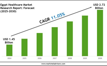 Egypt Healthcare Market Forecast 2025–2030: Key Players, Trends & Outlook
