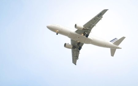 How to Speak to a Human for Group Bookings: Frontier vs Southwest