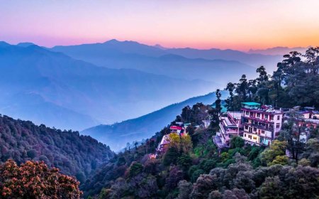 Weekend in Mussoorie: Nature Walks, Waterfalls & Old-World Cafés