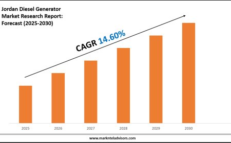 Jordan Diesel Generator Market Forecast 2025–2030: Key Players, Trends & Outlook