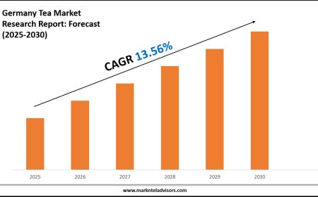 Germany Tea Market Forecast 2025–2030: Key Players, Trends & Outlook