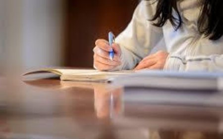 Navigating Nursing Education with Ease: A 360° Guide to BSN Writing Support Services