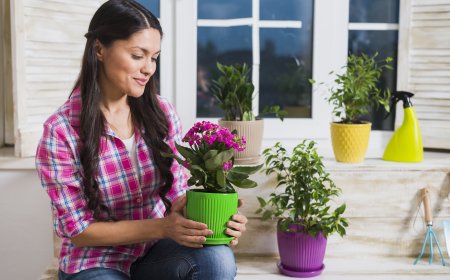 Flowers That Bring Positive Energy to Your Home and Office