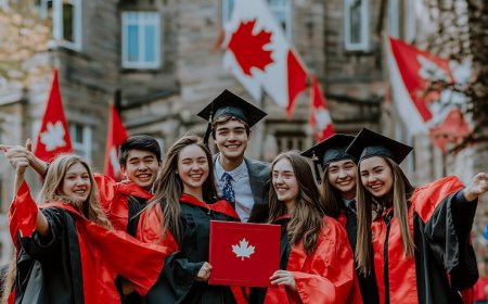 How an Education Consultant Can Simplify Your College Admissions Process