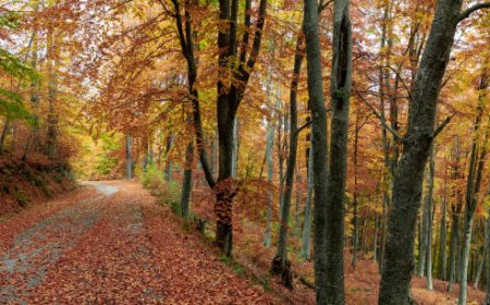 Hiking Trails in Greece with Breathtaking Views
