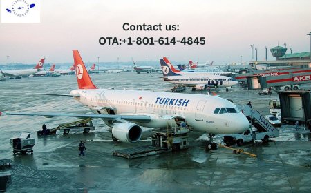 How do I speak to a human at Turkish Airlines? Fly with Turkish!
