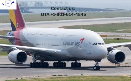 How Do I Talk to a Real Person at Asiana? - The Help You Actually Need