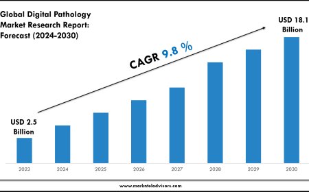 Digital Pathology Market Forecast 2024–2030: Key Players, Trends & Outlook