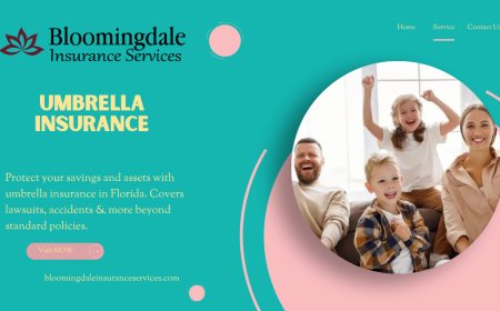Umbrella Insurance by Bloomingdale Insurance Services: Complete Coverage for Life’s Unpredictability