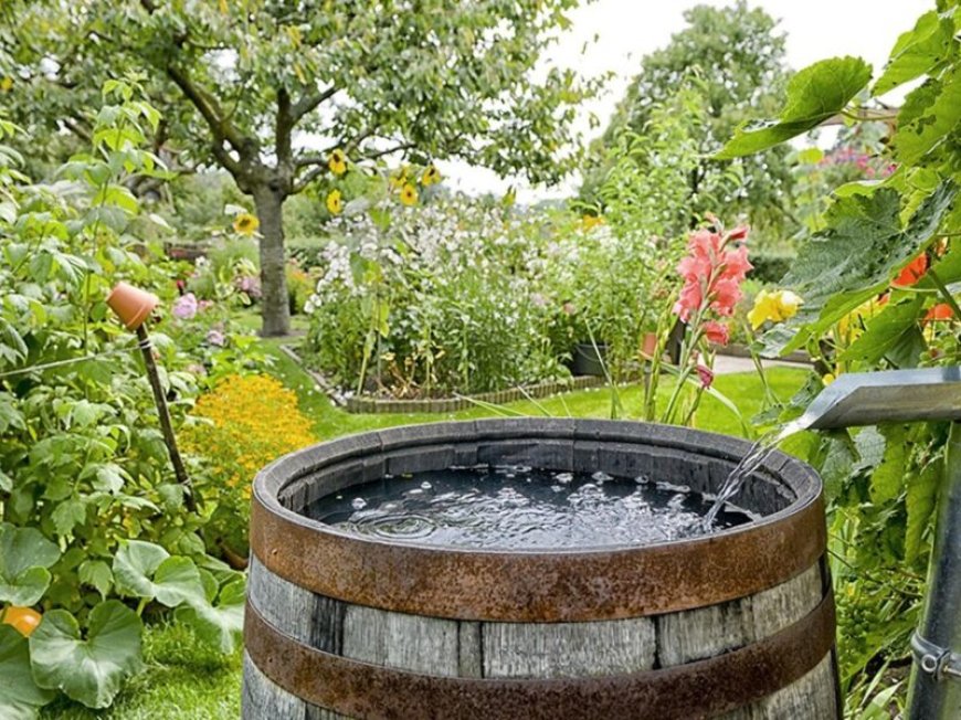 Rainwater Harvesting Market Growth, Share, and Forecast 2025-2033