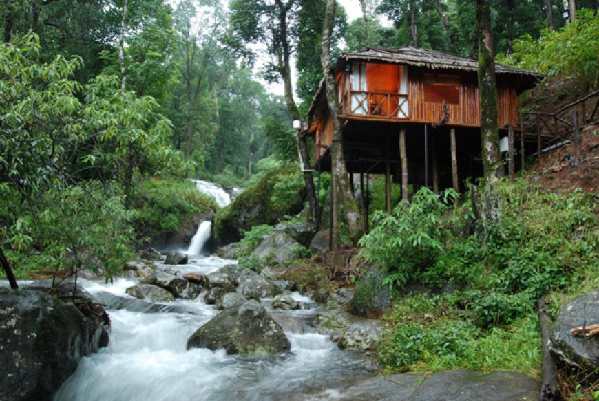 Discover Nature’s Paradise with Coorg Tour Packages