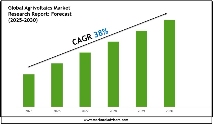 Agrivoltaics Market Report 2025–2030: Size, Share & Forecast