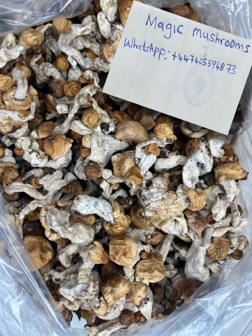 How to destroy magic mushroom near me