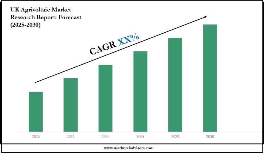 2025–2030 UK Agrivoltaic Market Snapshot: Growth, Value & Forecast