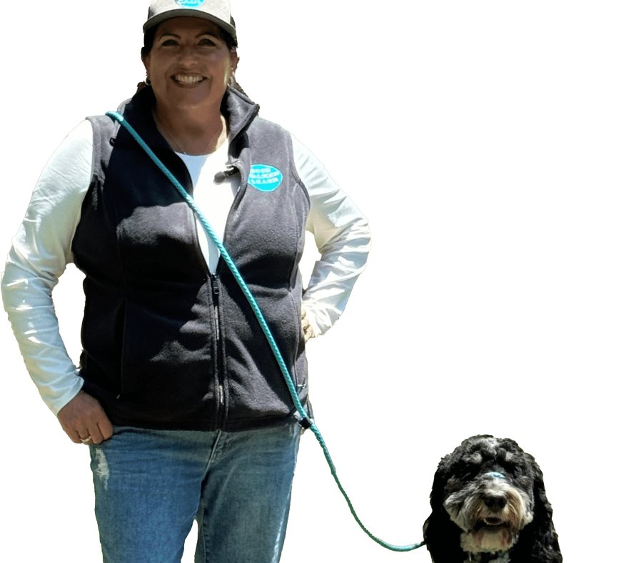 The Heart of the Home: Why Adult Dogs Are Truly Special