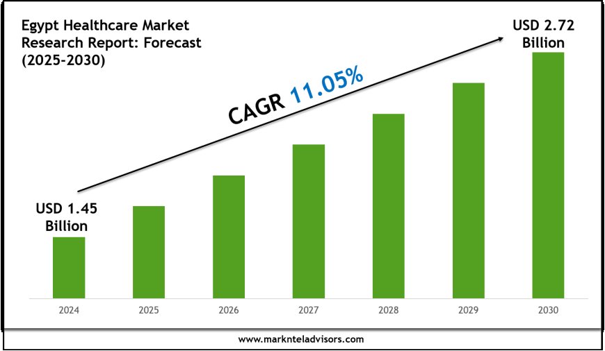 Egypt Healthcare Market Forecast 2025–2030: Key Players, Trends & Outlook