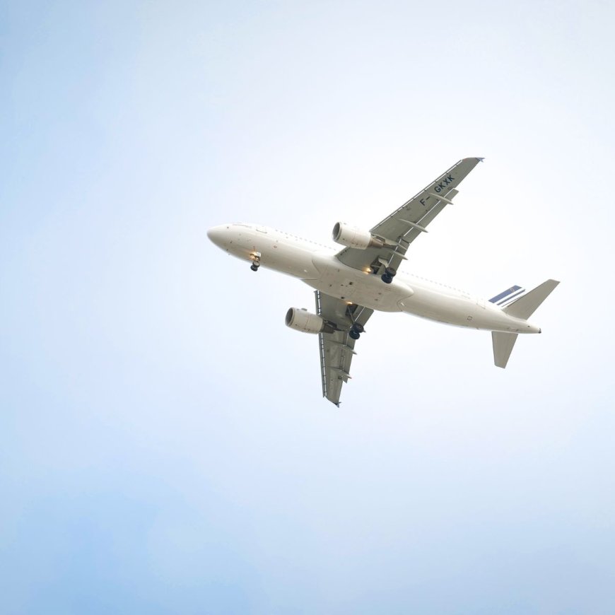 How to Speak to a Human for Group Bookings: Frontier vs Southwest