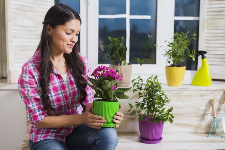 Flowers That Bring Positive Energy to Your Home and Office