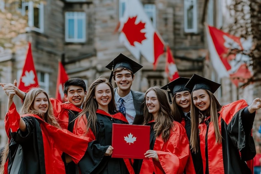 How an Education Consultant Can Simplify Your College Admissions Process