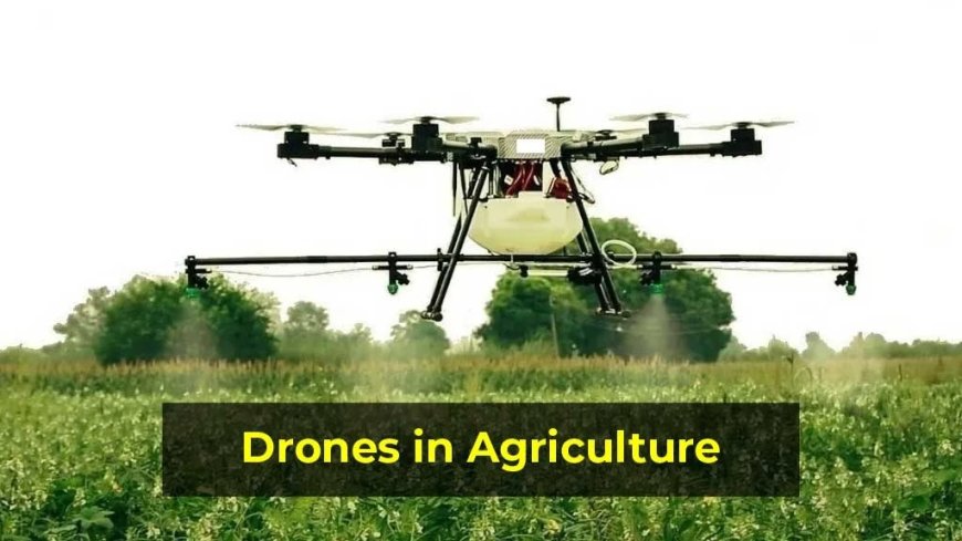 Discover How Drones Are Helping Indian Agriculture