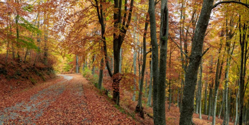 Hiking Trails in Greece with Breathtaking Views