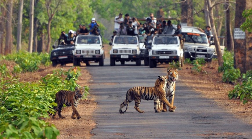 Explore the Scenic Nainital to Jim Corbett Distance Easily