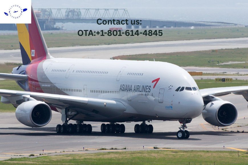 How Do I Talk to a Real Person at Asiana? - The Help You Actually Need