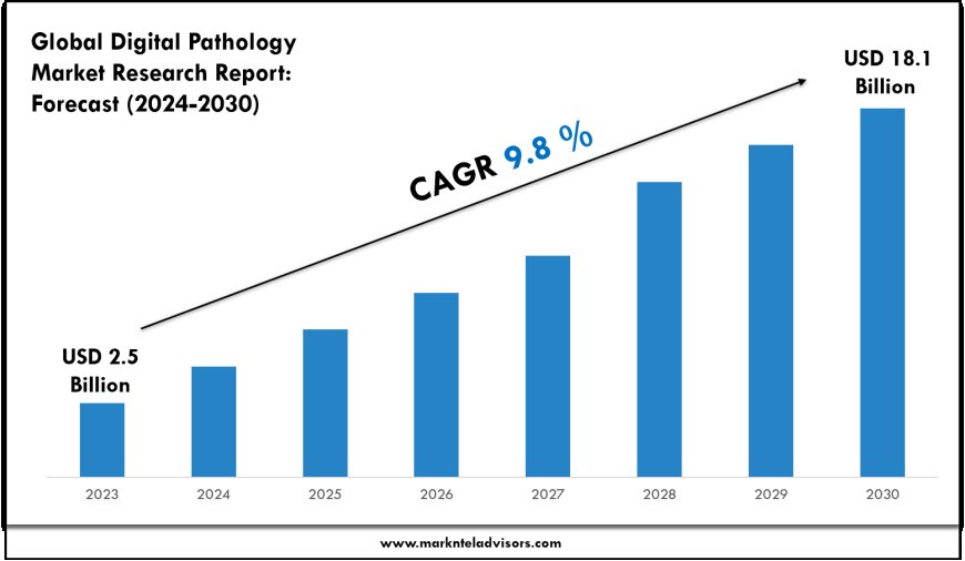 Digital Pathology Market Forecast 2024–2030: Key Players, Trends & Outlook