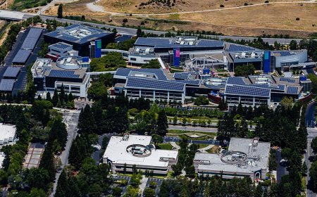 Alphabet Customer Care & Toll Free Number – Official Support